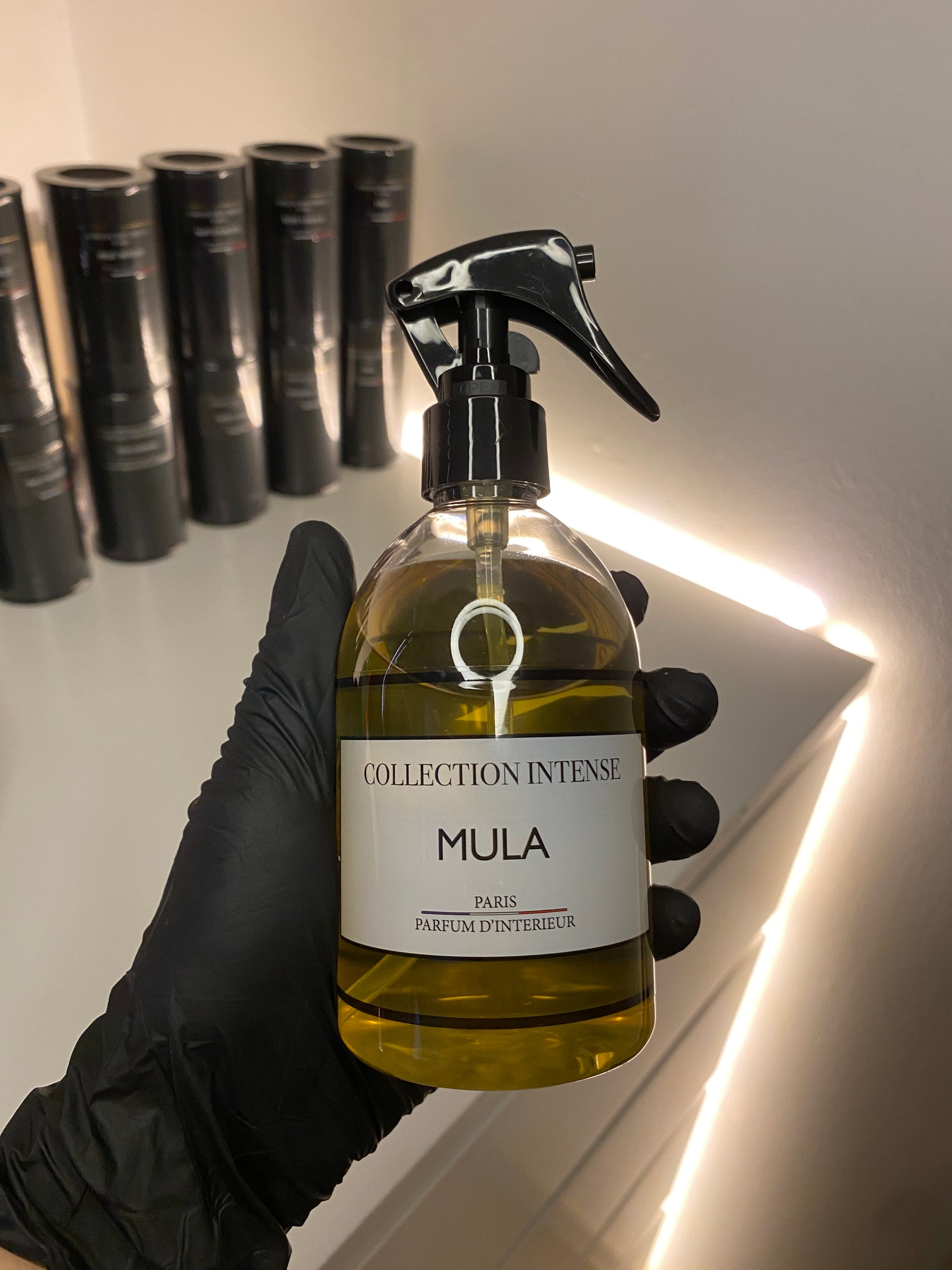 Spray d’intérieur "Mula"